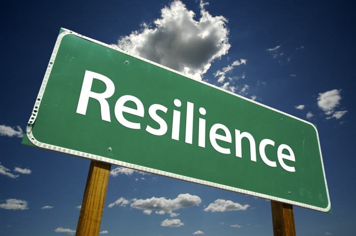 resilience article
